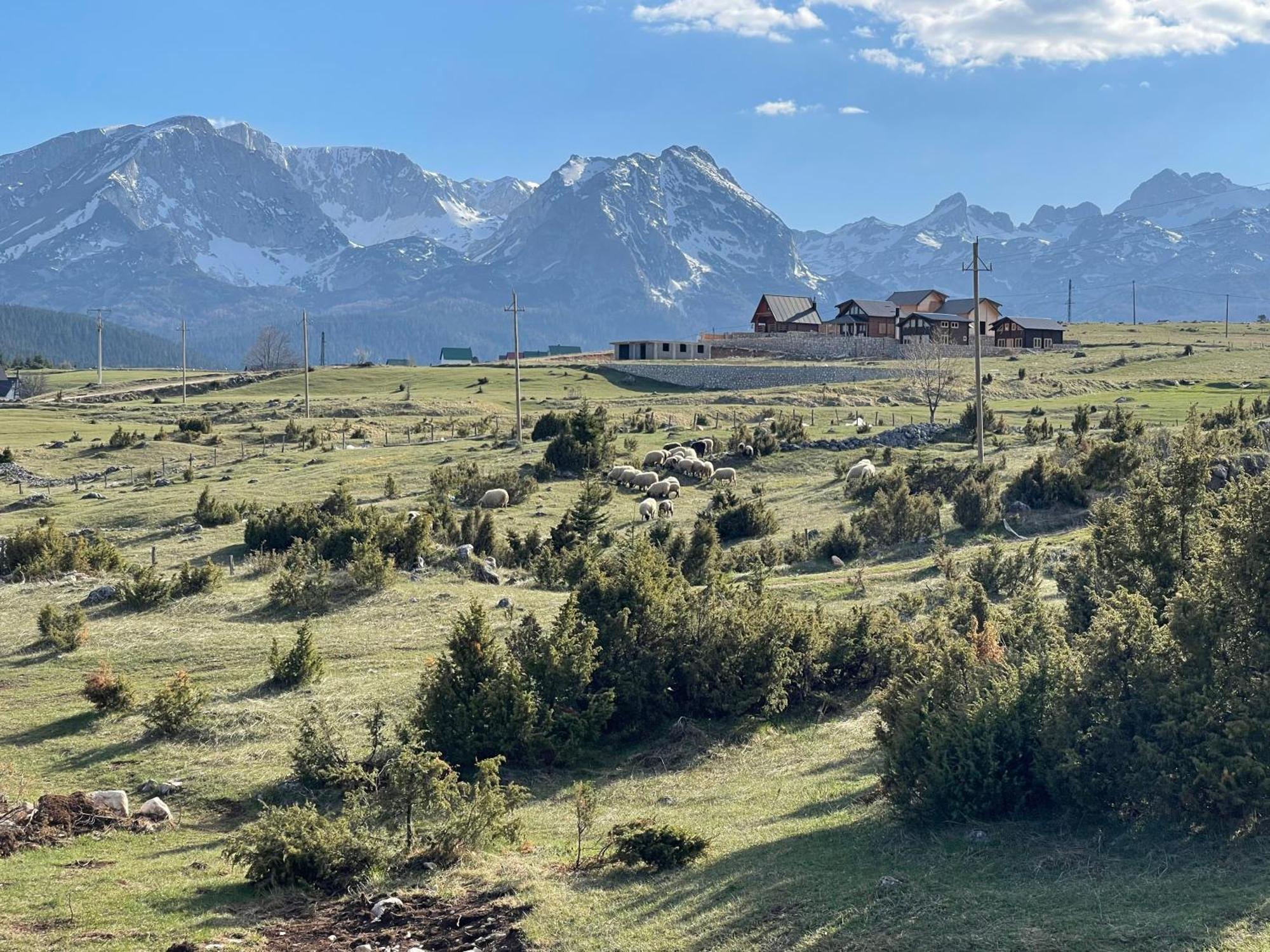 Peaksview Chalets Žabljak Екстериор снимка